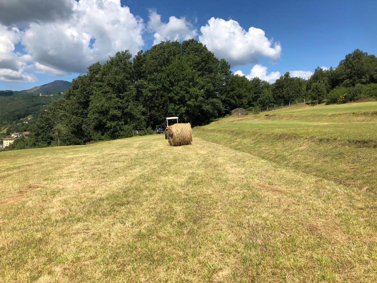 Le Pianelle Villa Varese Ligure Buitenkant foto